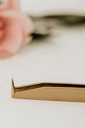 ARIA TWEEZER