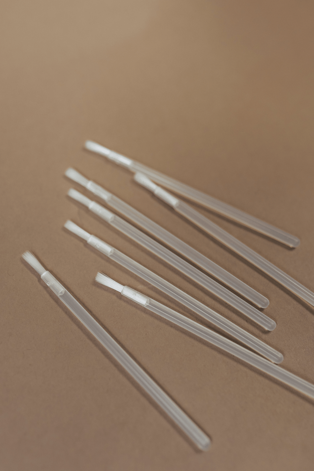 APPLICATOR BRUSHES