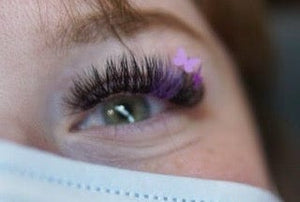 LASH DECALS
