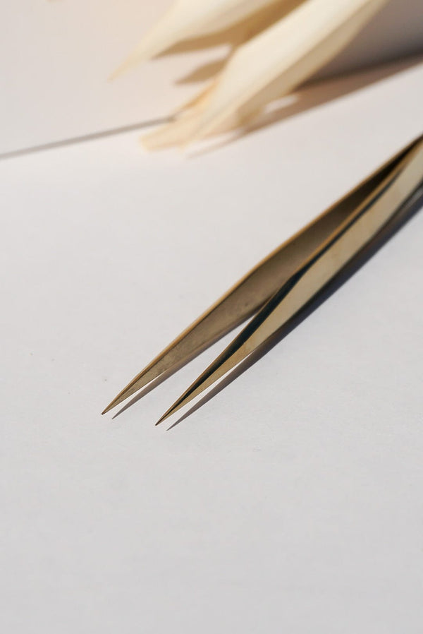 SHIRLEY TWEEZERS