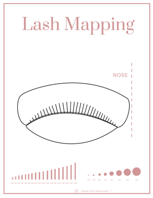 LASH MANUAL - DIGITAL/DOWNLOAD & PRINT