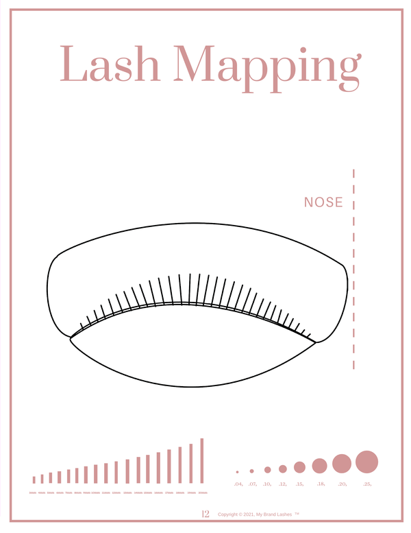 LASH MANUAL - DIGITAL/DOWNLOAD & PRINT