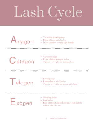 LASH MANUAL - DIGITAL/DOWNLOAD & PRINT