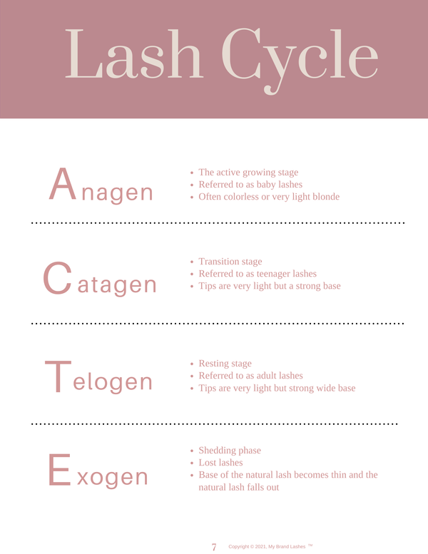LASH MANUAL - DIGITAL/DOWNLOAD & PRINT