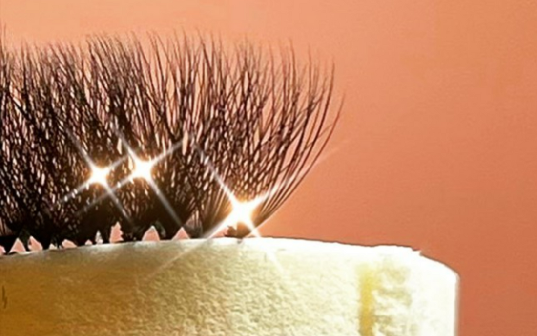 EYELASH EXTENSION FANS