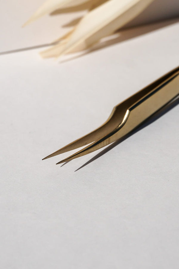 SASHA TWEEZER